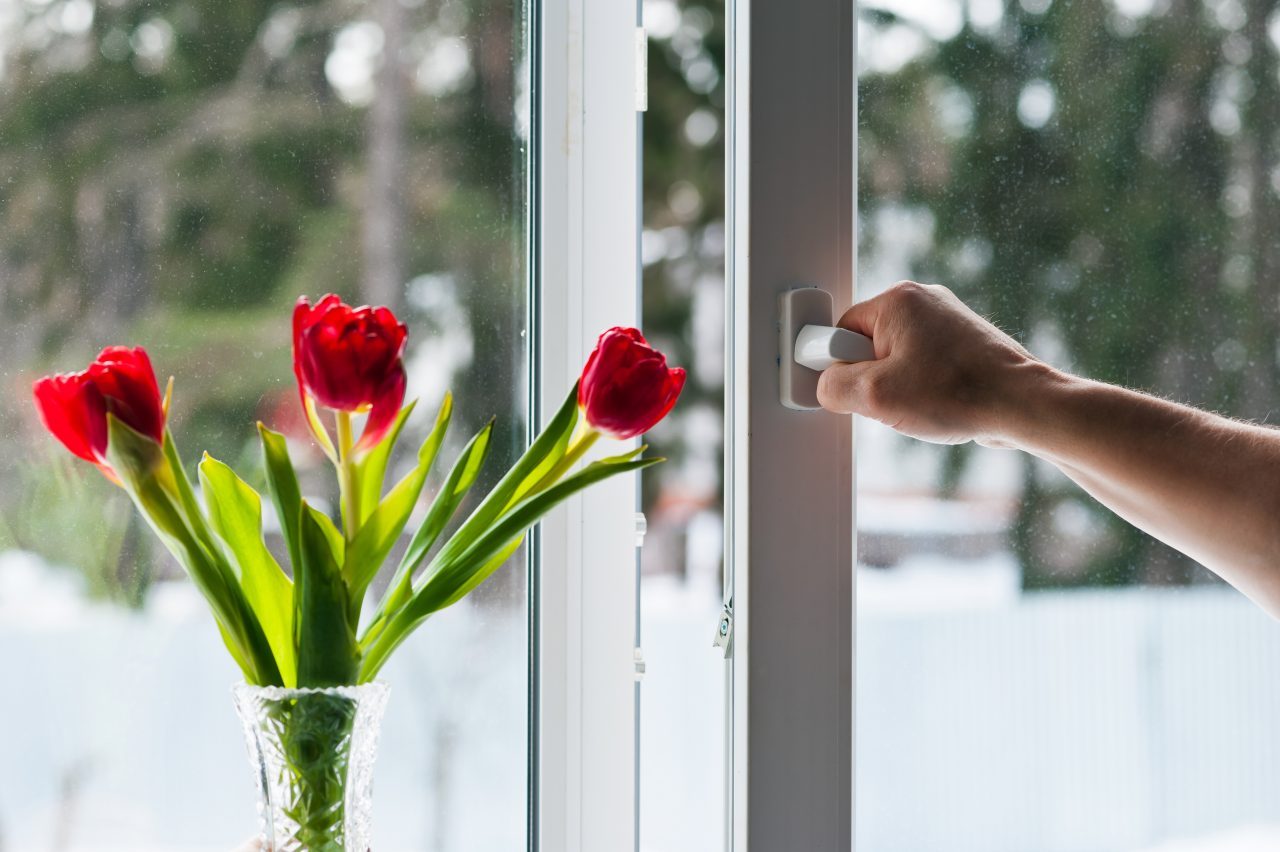 Window Prentice How Double Glazed Windows Will Benefit Your Home | Prentice